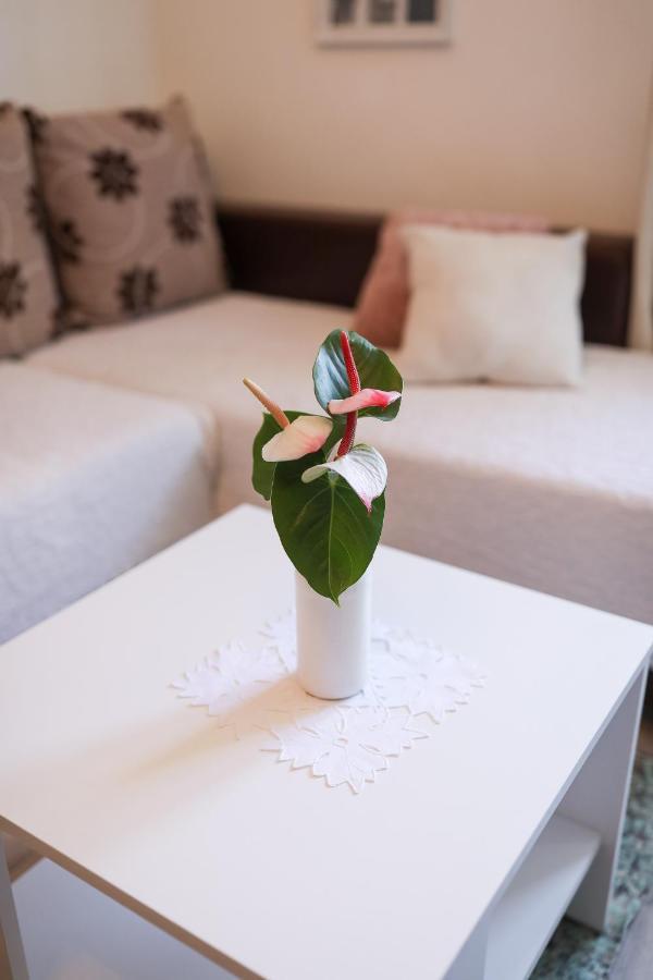 Apartment Rita ザダル エクステリア 写真